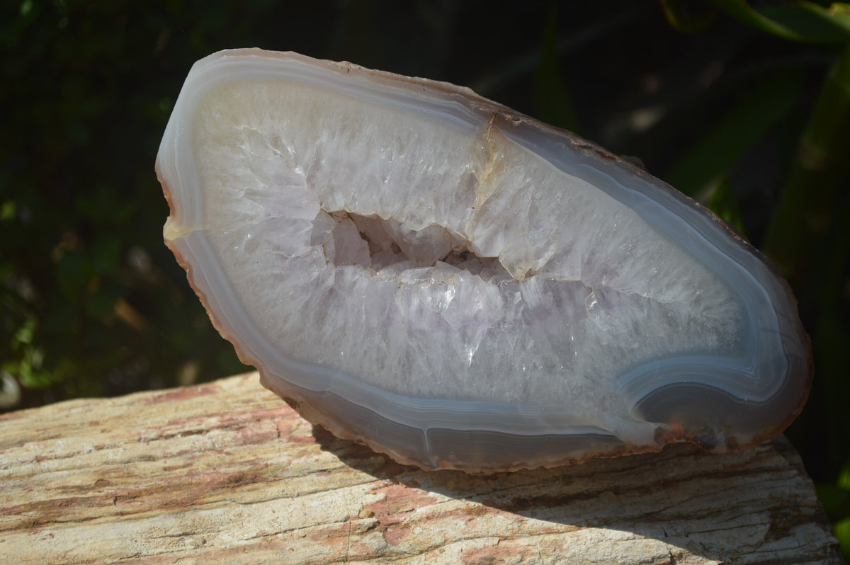 Polished Amethyst Agate Geode x 1 From Madagascar - Toprock Gemstones and Minerals 