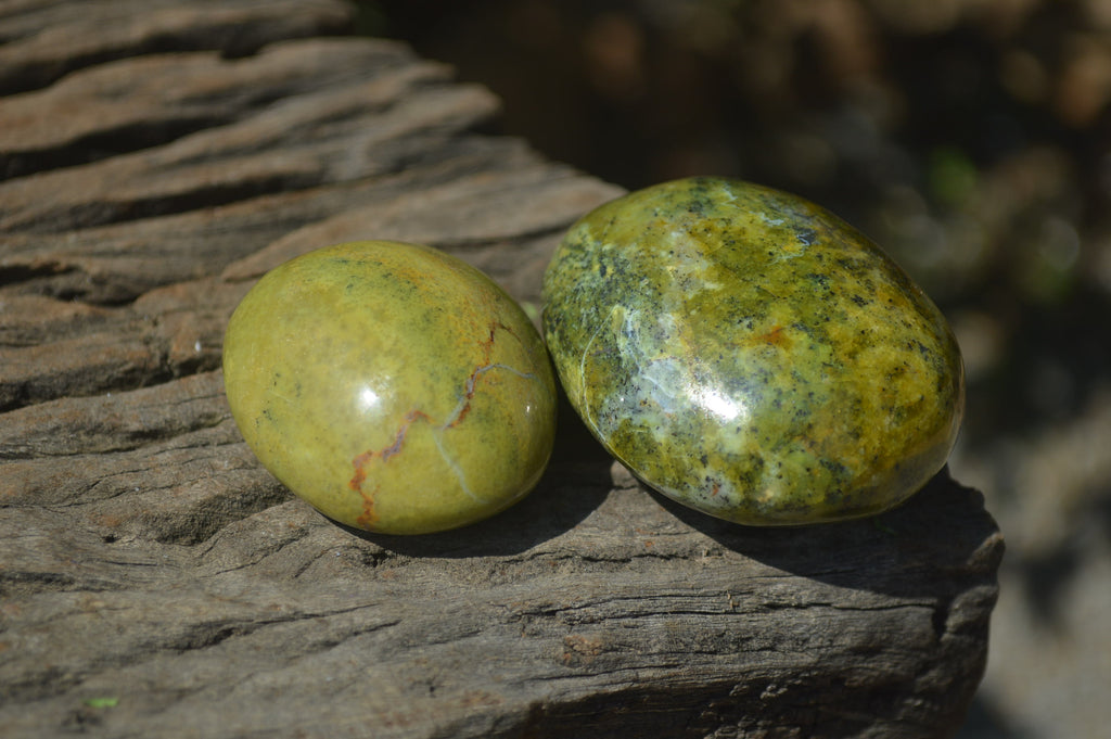 Polished Green Opal Palm Stones x 12 From Madagascar - Toprock Gemstones and Minerals 