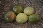 Polished Green Opal Palm Stones x 12 From Madagascar - Toprock Gemstones and Minerals 