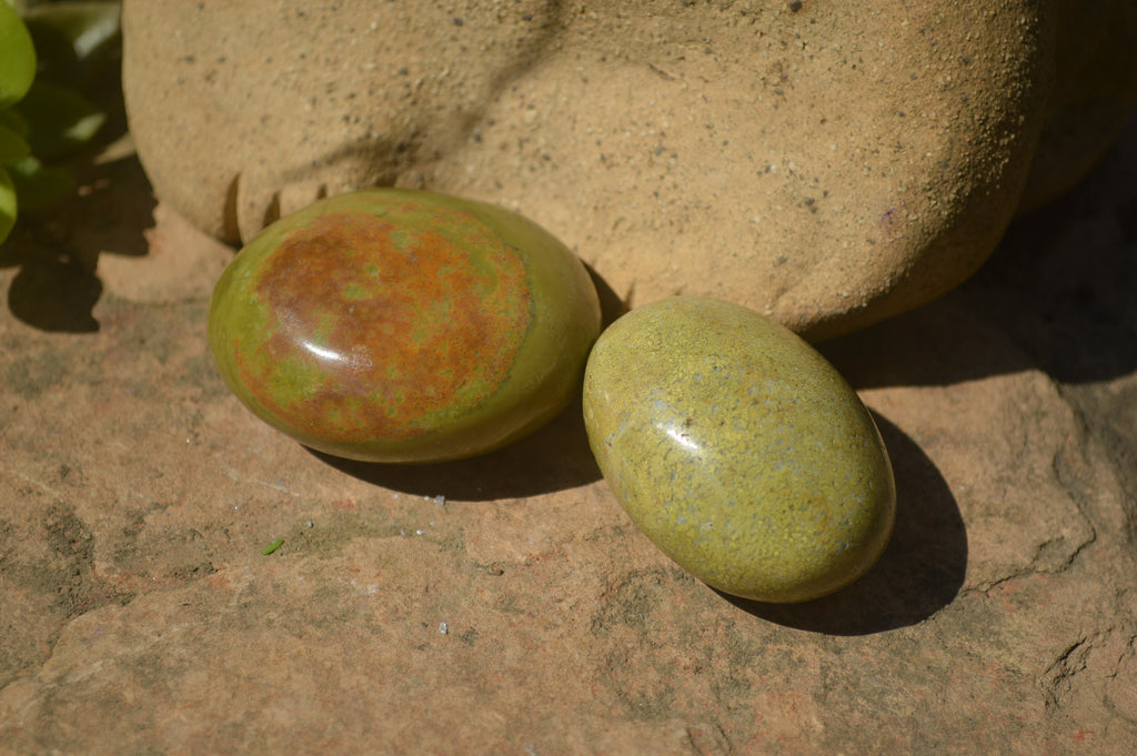 Polished Green Opal Palm Stones x 12 From Madagascar - Toprock Gemstones and Minerals 