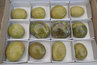 Polished Green Opal Palm Stones x 12 From Madagascar - Toprock Gemstones and Minerals 