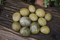Polished Green Opal Palm Stones x 12 From Madagascar - Toprock Gemstones and Minerals 