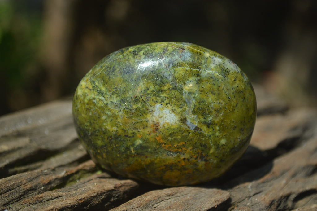 Polished Green Opal Palm Stones x 12 From Madagascar - Toprock Gemstones and Minerals 