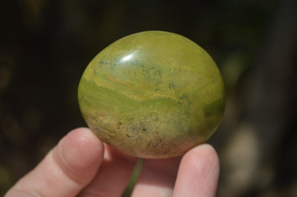 Polished Green Opal Palm Stones x 12 From Madagascar - Toprock Gemstones and Minerals 