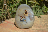 Polished Dendritic Agate Standing Free Forms x 3 From Madagascar