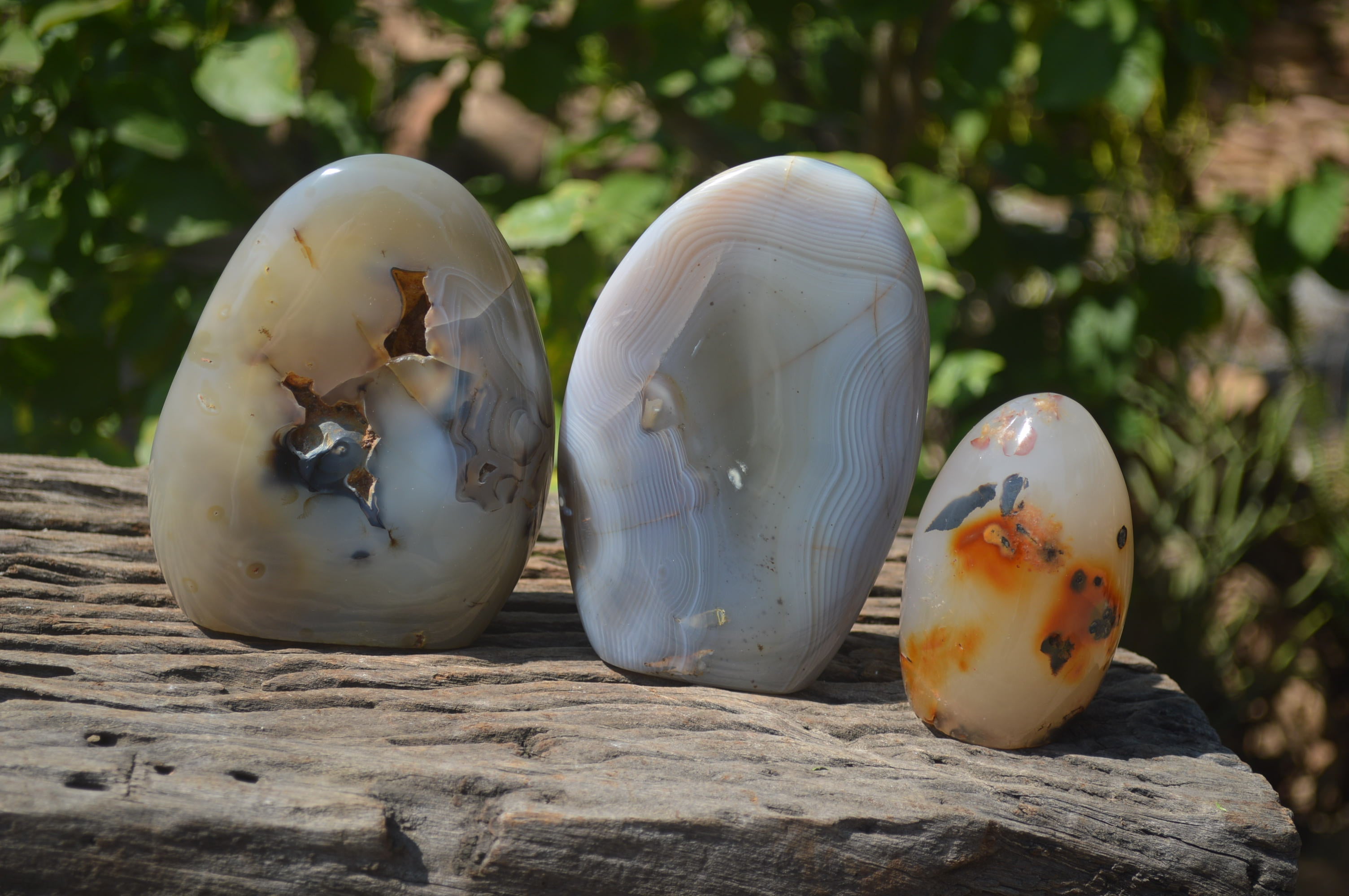 Polished Dendritic Agate Standing Free Forms x 3 From Madagascar - Toprock Gemstones and Minerals 