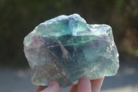 Natural Watermelon Fluorite Cobbed Specimens x 5 From Uis, Namibia - Toprock Gemstones and Minerals 