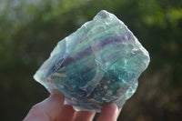 Natural Watermelon Fluorite Cobbed Specimens x 5 From Uis, Namibia - Toprock Gemstones and Minerals 