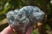 Natural Watermelon Fluorite Cobbed Specimens x 5 From Uis, Namibia - Toprock Gemstones and Minerals 