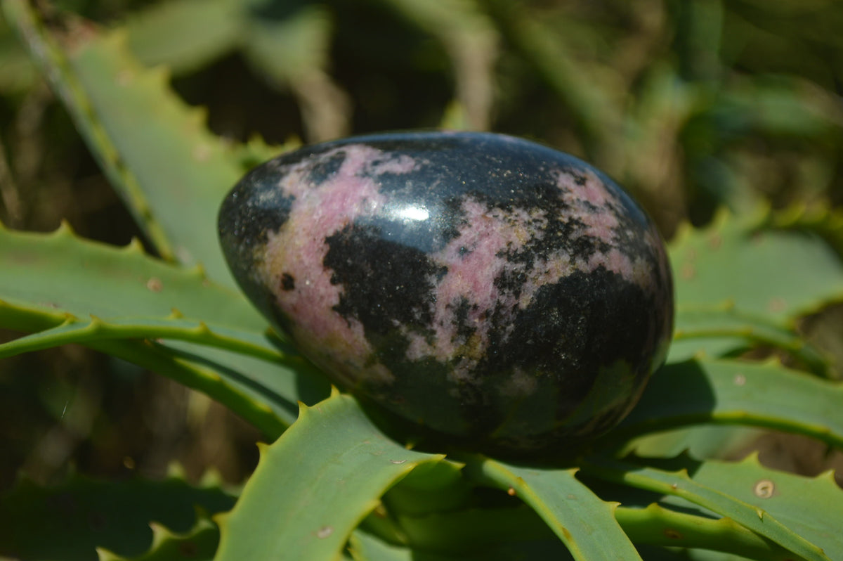Polished Rhodonite Gemstone Eggs x 6 From Madagascar - Toprock Gemstones and Minerals 