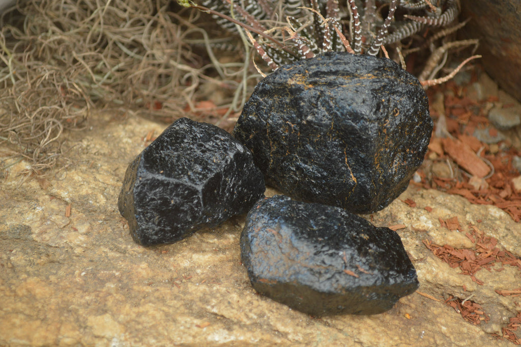 Natural Black Tourmaline Cobbed Specimens x 20 From Zimbabwe - Toprock Gemstones and Minerals 