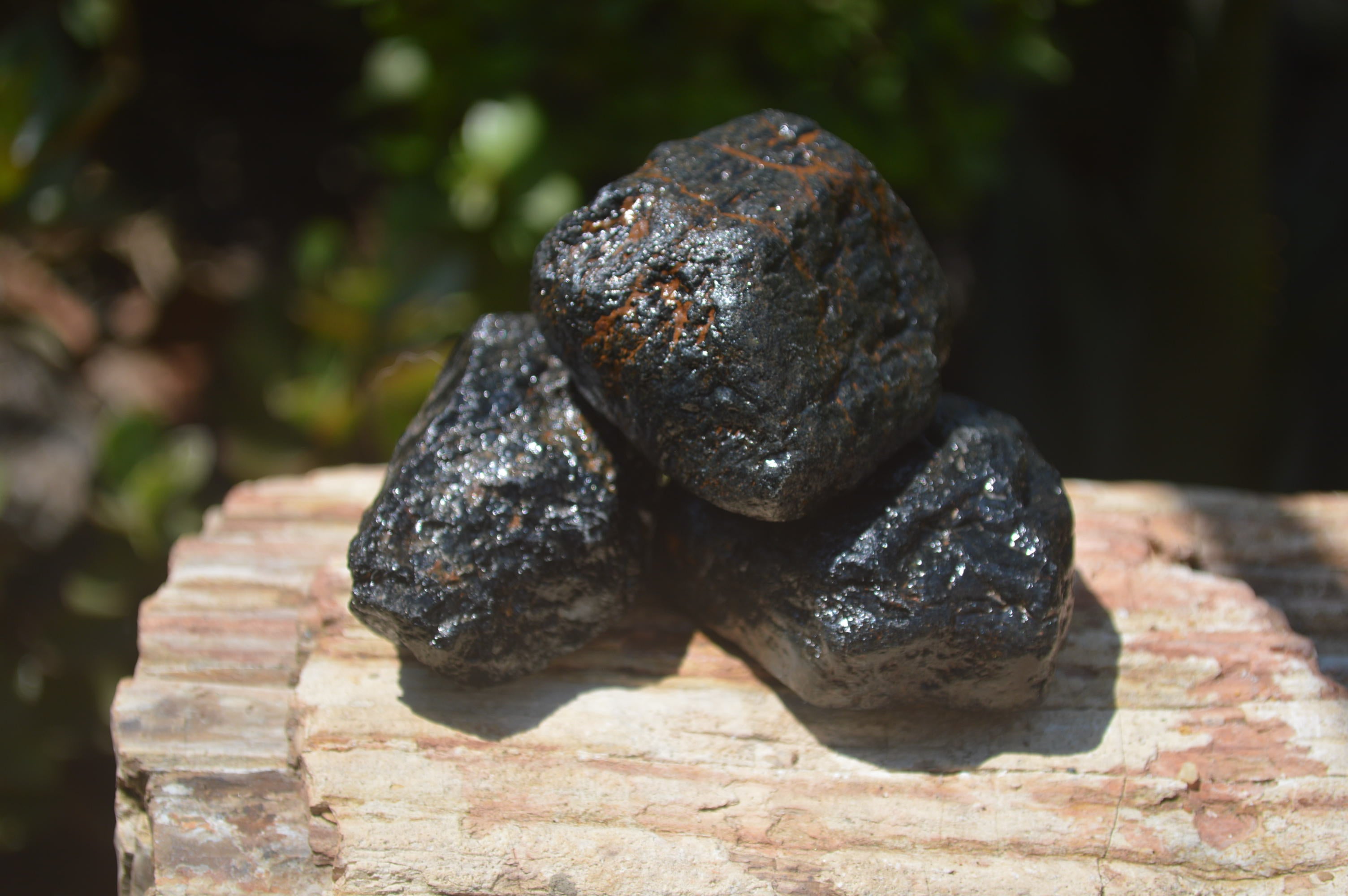 Natural Black Tourmaline Cobbed Specimens x 20 From Zimbabwe - Toprock Gemstones and Minerals 
