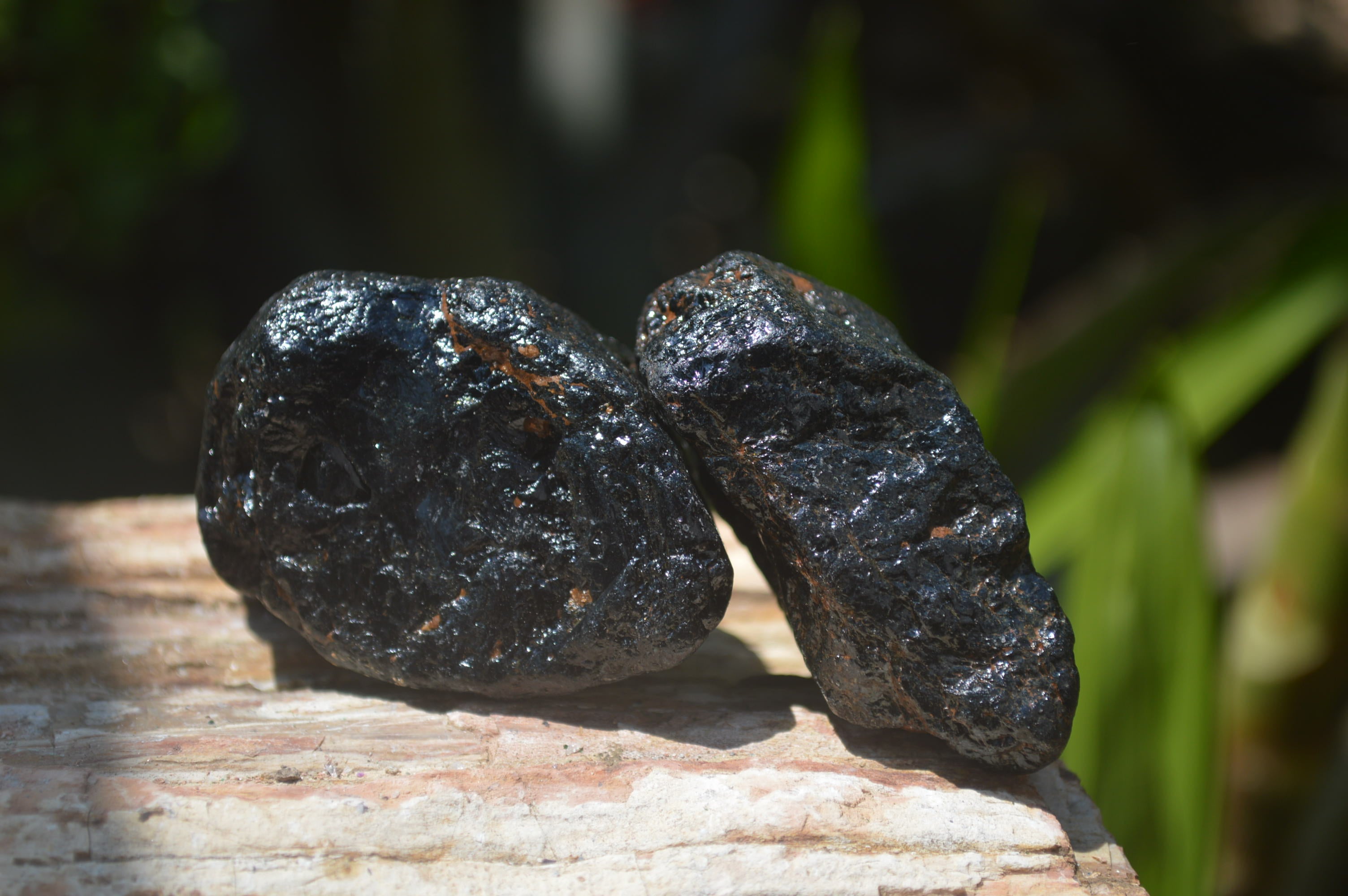Natural Black Tourmaline Cobbed Specimens x 20 From Zimbabwe - Toprock Gemstones and Minerals 