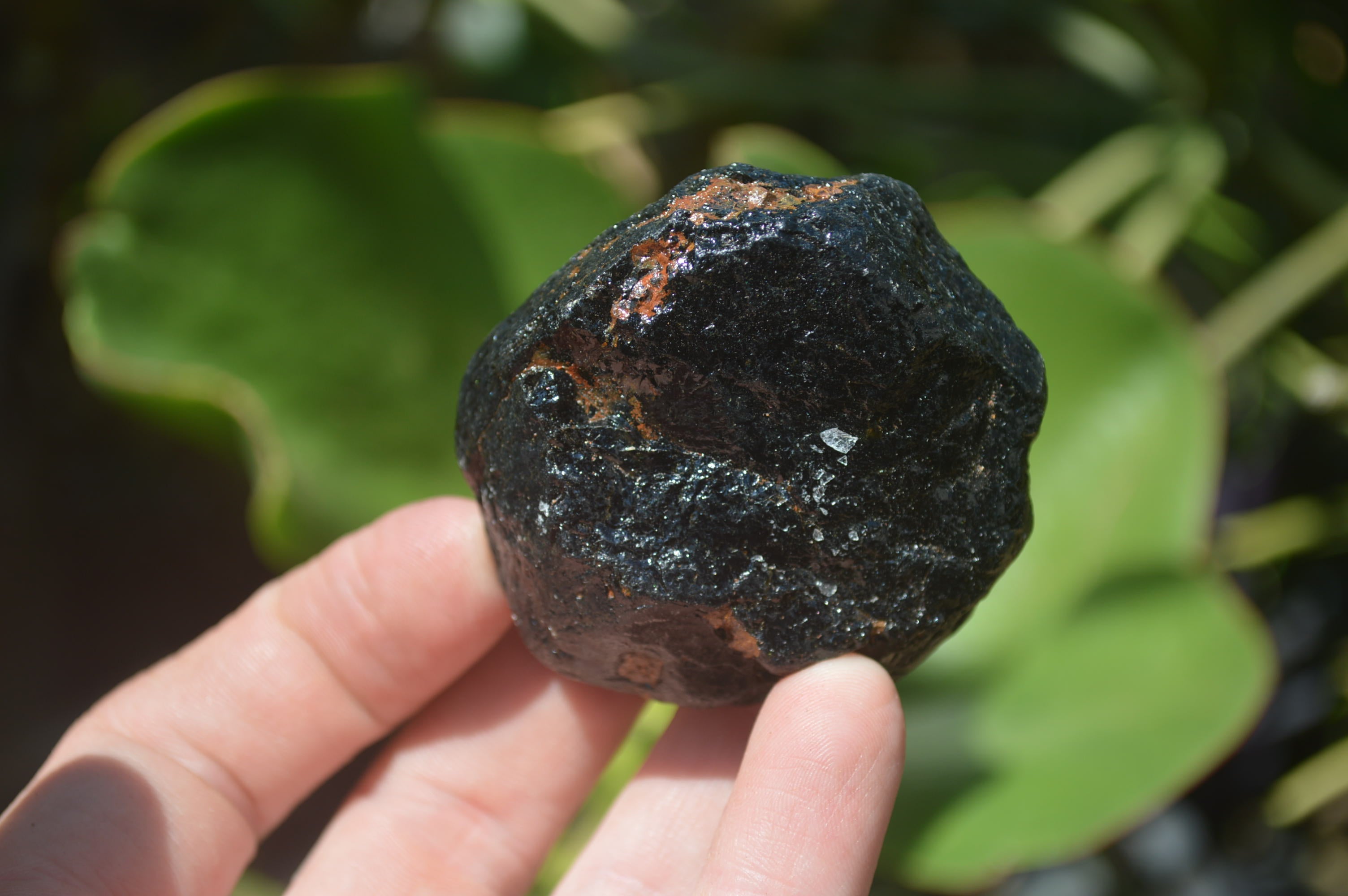 Natural Black Tourmaline Cobbed Specimens x 20 From Zimbabwe - Toprock Gemstones and Minerals 