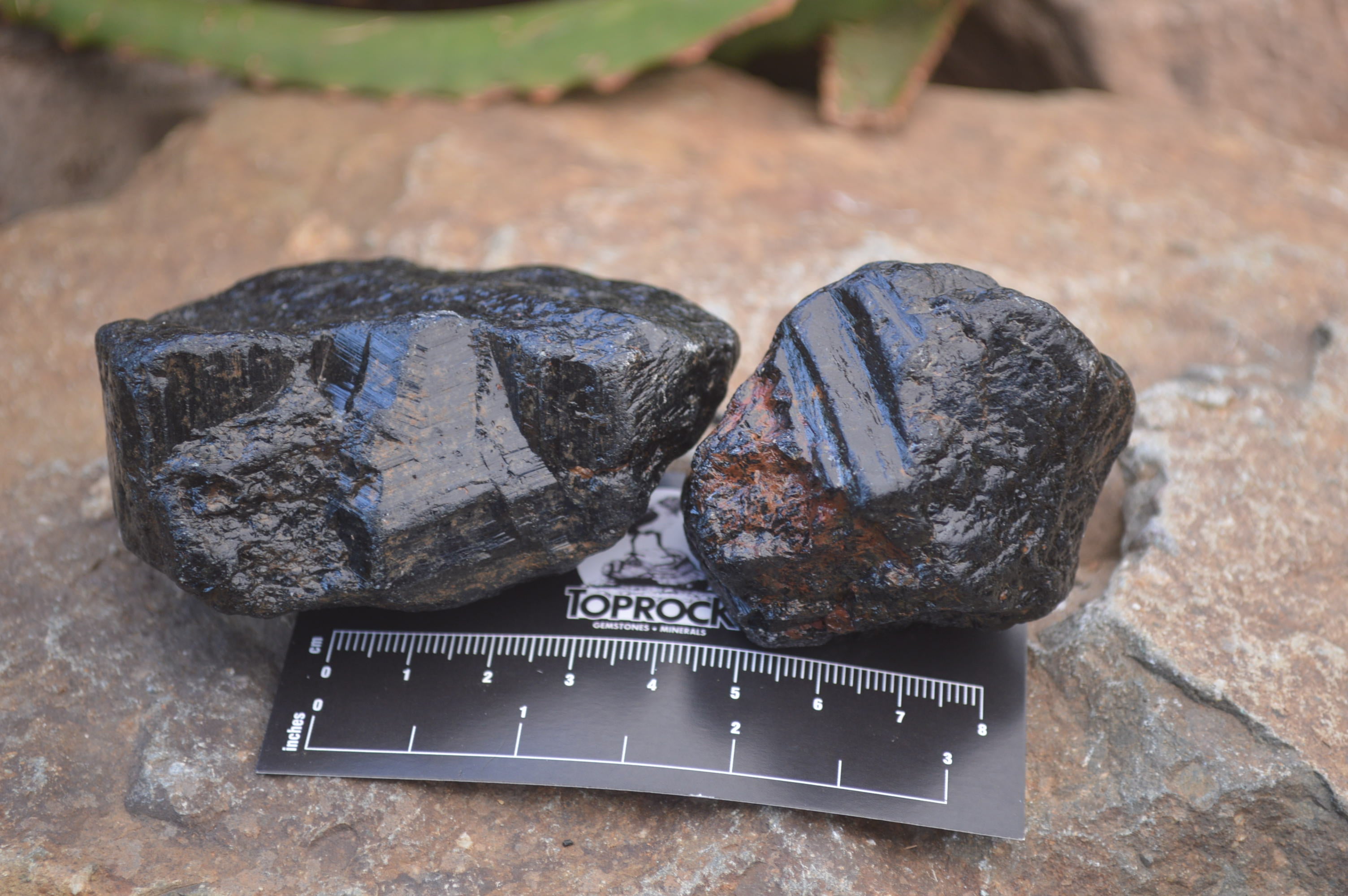 Natural Black Tourmaline Cobbed Specimens x 20 From Zimbabwe - Toprock Gemstones and Minerals 