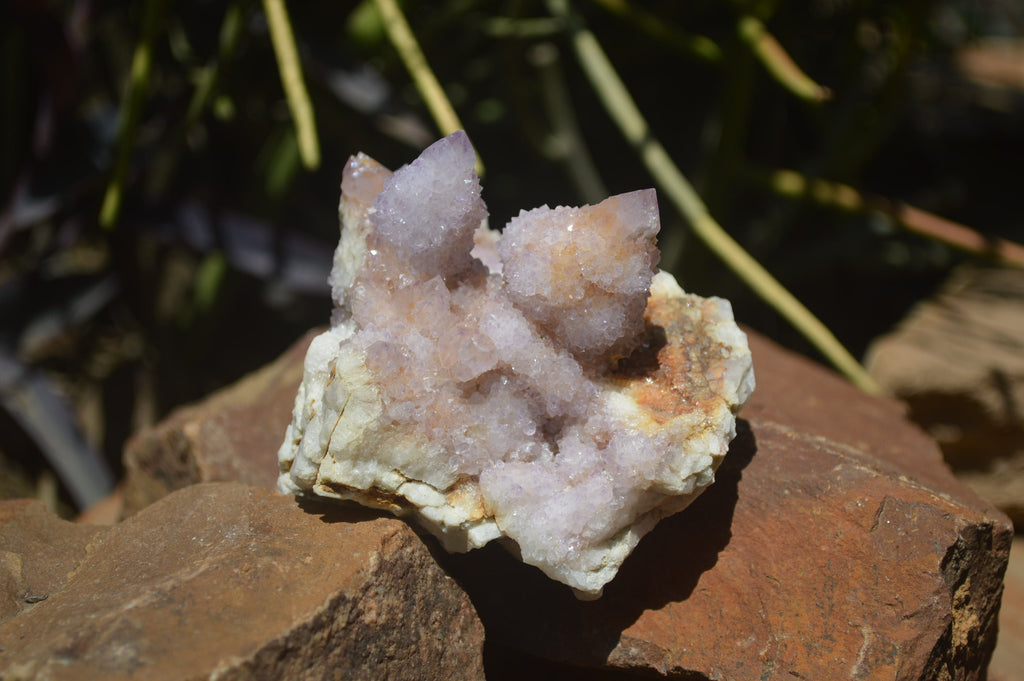 Natural Ametrine Spirit Quartz Clusters x 3 From Boekenhouthoek, South Africa - Toprock Gemstones and Minerals 