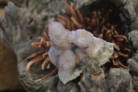 Natural Ametrine Spirit Quartz Clusters x 3 From Boekenhouthoek, South Africa