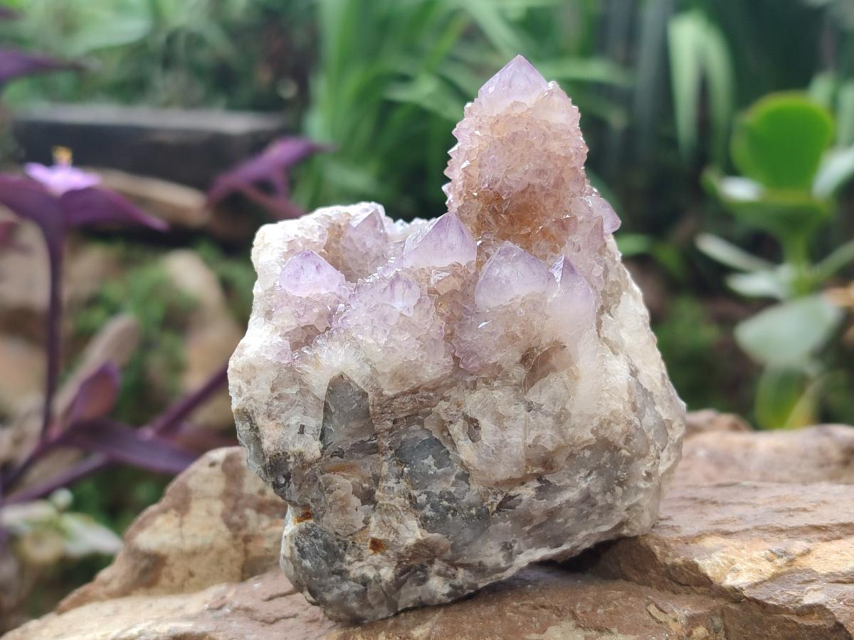 Natural Spirit Ametrine Clusters x 3 From Boekenhouthoek, South Africa - Toprock Gemstones and Minerals 