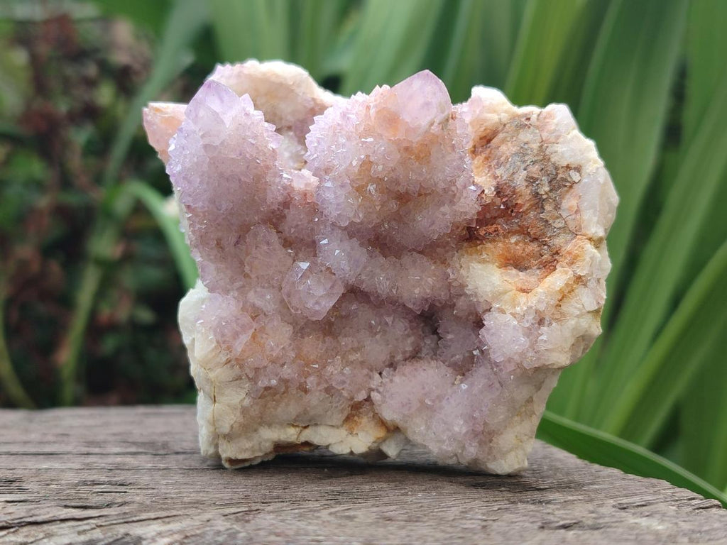 Natural Spirit Ametrine Clusters x 3 From Boekenhouthoek, South Africa - Toprock Gemstones and Minerals 