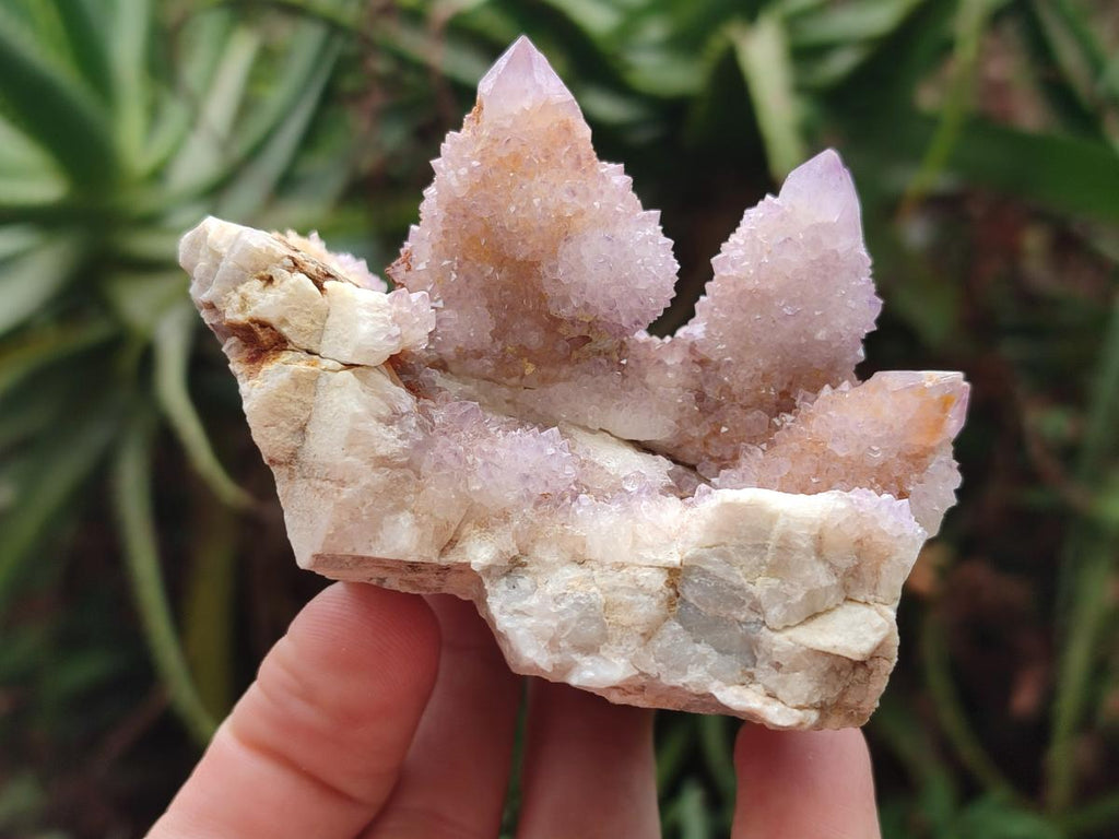 Natural Spirit Ametrine Clusters x 3 From Boekenhouthoek, South Africa - Toprock Gemstones and Minerals 