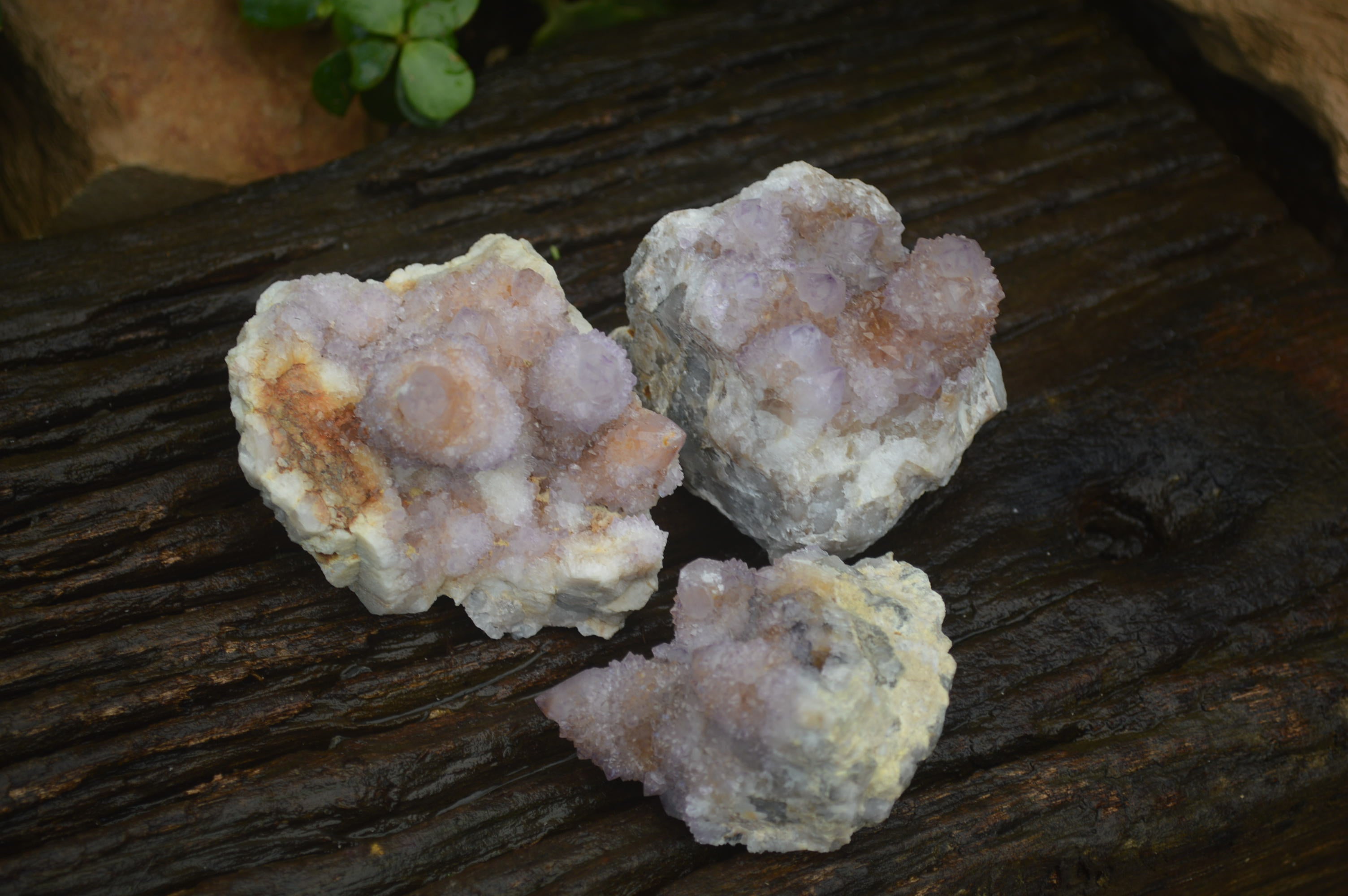 Natural Ametrine Spirit Quartz Clusters x 3 From Boekenhouthoek, South Africa - Toprock Gemstones and Minerals 