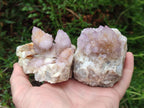 Natural Spirit Ametrine Clusters x 3 From Boekenhouthoek, South Africa - Toprock Gemstones and Minerals 