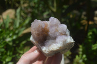 Natural Ametrine Spirit Quartz Clusters x 3 From Boekenhouthoek, South Africa