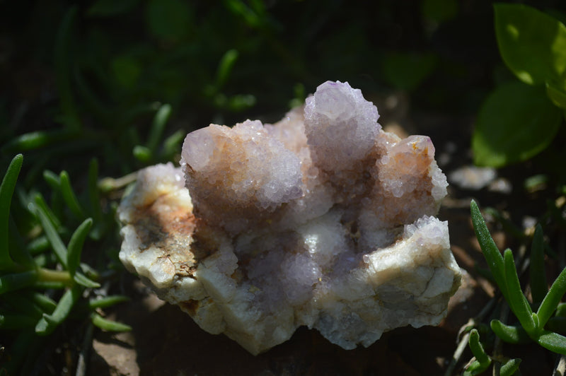 Natural Ametrine Spirit Quartz Clusters x 3 From Boekenhouthoek, South Africa - Toprock Gemstones and Minerals 