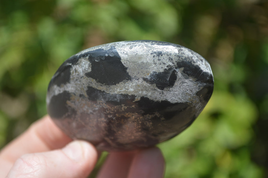 Polished Pharaoh Stone Free Forms x 6 From Zimbabwe - Toprock Gemstones and Minerals 