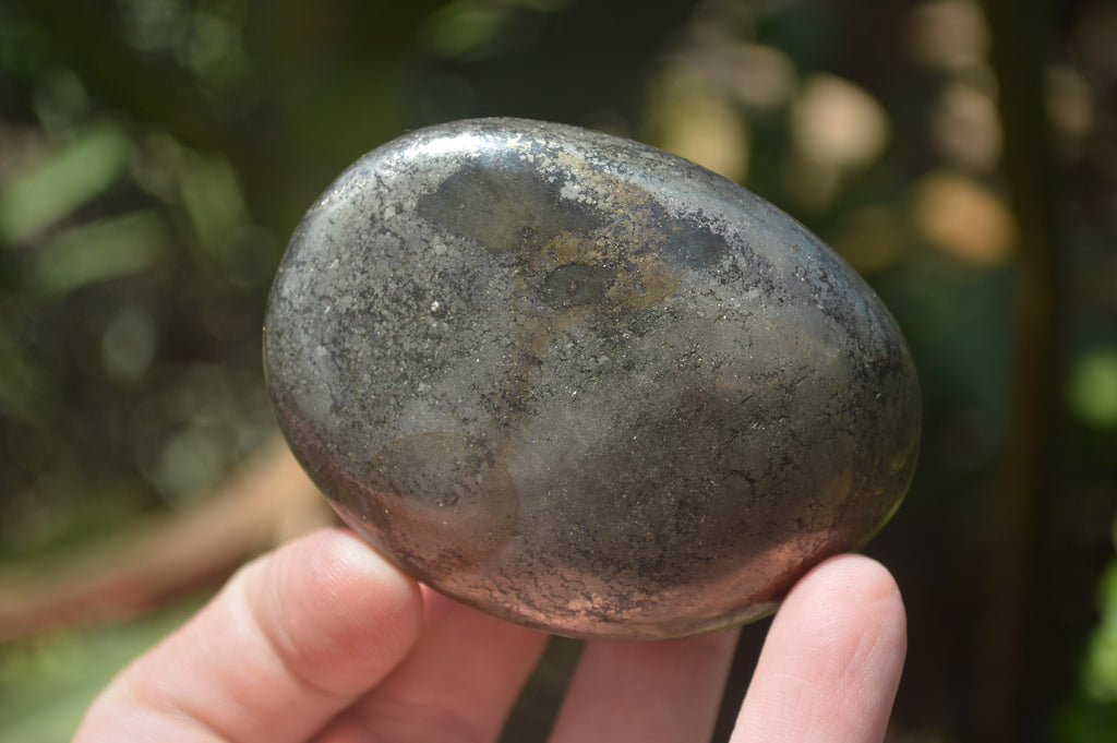 Polished Pharaoh Stone Free Forms x 6 From Zimbabwe - Toprock Gemstones and Minerals 