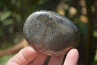 Polished Pharaoh Stone Free Forms x 6 From Zimbabwe - Toprock Gemstones and Minerals 