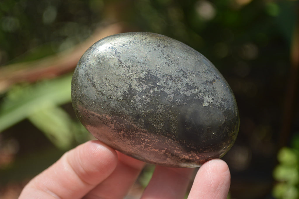 Polished Pharaoh Stone Free Forms x 6 From Zimbabwe - Toprock Gemstones and Minerals 