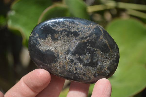 Polished Pharaoh Stone Free Forms x 6 From Zimbabwe - Toprock Gemstones and Minerals 