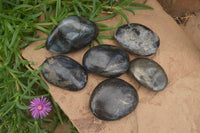Polished Pharaoh Stone Free Forms x 6 From Zimbabwe - Toprock Gemstones and Minerals 