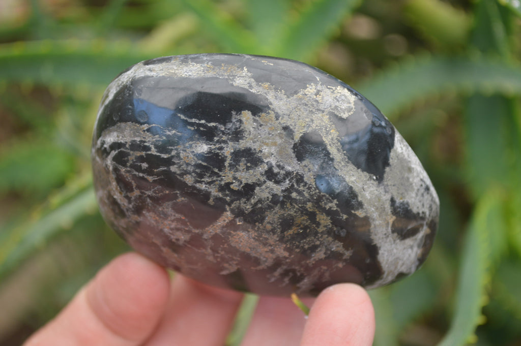 Polished Pharaoh Stone Free Forms x 6 From Zimbabwe - Toprock Gemstones and Minerals 