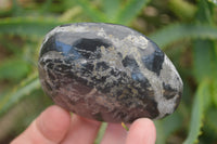 Polished Pharaoh Stone Free Forms x 6 From Zimbabwe - Toprock Gemstones and Minerals 