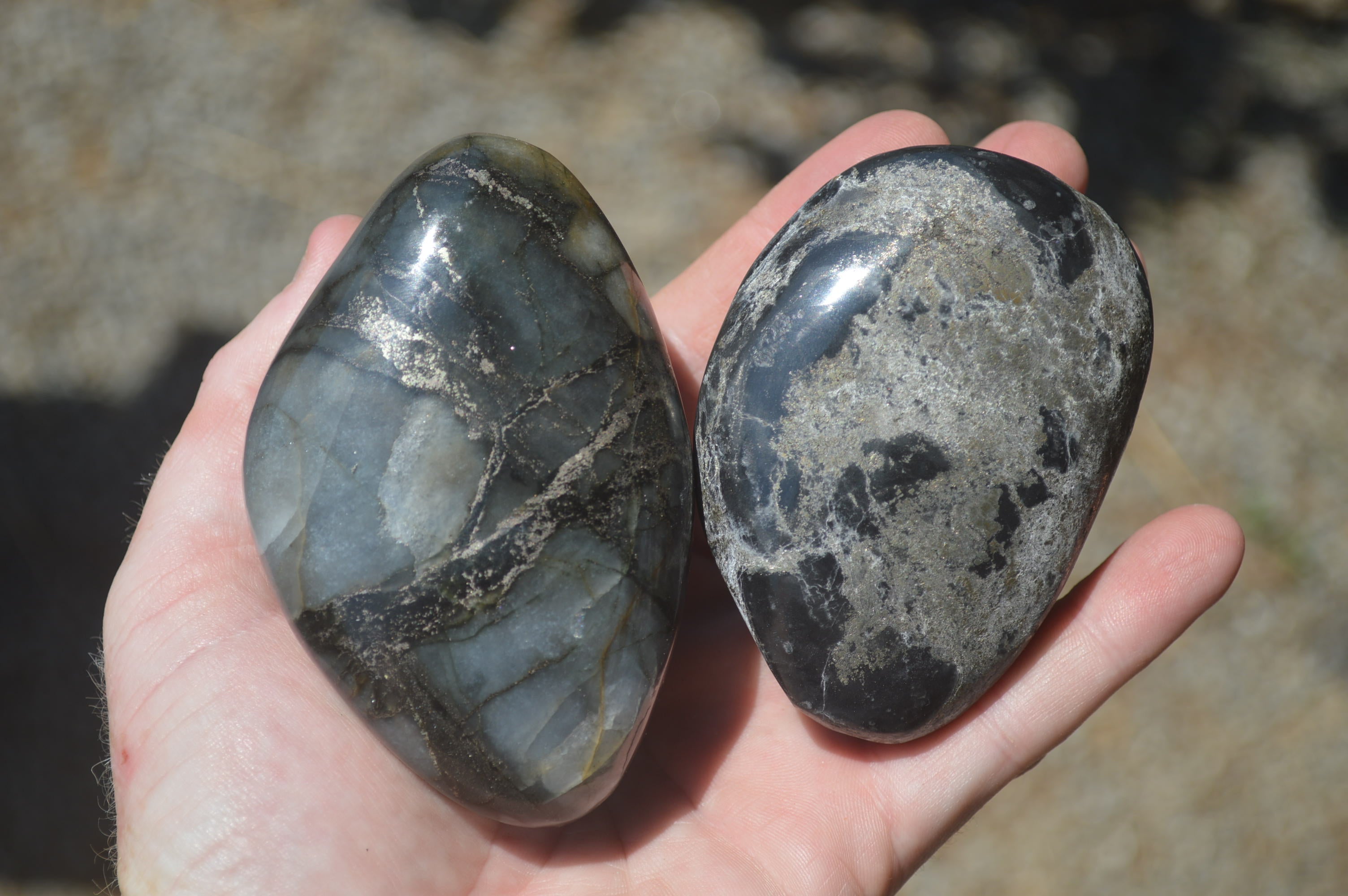 Polished Pharaoh Stone Free Forms x 6 From Zimbabwe - Toprock Gemstones and Minerals 