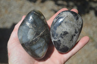 Polished Pharaoh Stone Free Forms x 6 From Zimbabwe - Toprock Gemstones and Minerals 