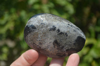 Polished Pharaoh Stone Free Forms x 6 From Zimbabwe - Toprock Gemstones and Minerals 