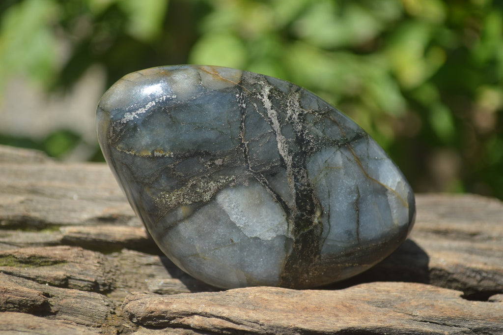 Polished Pharaoh Stone Free Forms x 6 From Zimbabwe - Toprock Gemstones and Minerals 