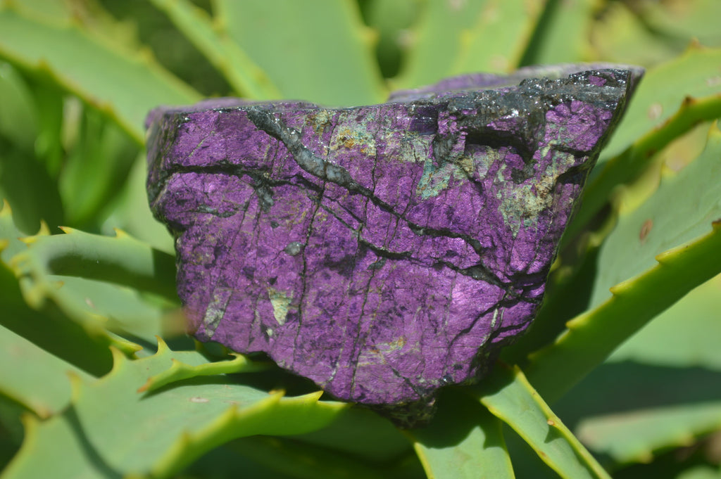Natural Metallic Purpurite Cobbed Specimens x 6 From Erongo, Namibia - Toprock Gemstones and Minerals 