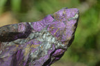 Natural Metallic Purpurite Cobbed Specimens x 6 From Erongo, Namibia - Toprock Gemstones and Minerals 