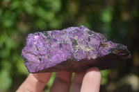 Natural Metallic Purpurite Cobbed Specimens x 6 From Erongo, Namibia - Toprock Gemstones and Minerals 