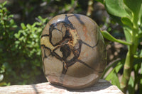 Polished Septerye Standing Free Form x 1 From Mahajanga, Madagascar - Toprock Gemstones and Minerals 