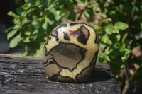Polished Septerye Standing Free Form x 1 From Mahajanga, Madagascar - Toprock Gemstones and Minerals 