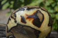 Polished Septerye Standing Free Form x 1 From Mahajanga, Madagascar - Toprock Gemstones and Minerals 