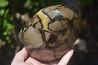Polished Septerye Standing Free Form x 1 From Mahajanga, Madagascar - Toprock Gemstones and Minerals 