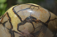 Polished Septerye Standing Free Form x 1 From Mahajanga, Madagascar - Toprock Gemstones and Minerals 