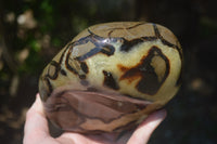Polished Septerye Standing Free Form x 1 From Mahajanga, Madagascar - Toprock Gemstones and Minerals 