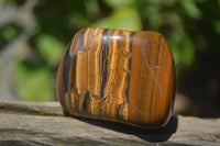 Polished Tiger's Eye Free Forms x 12 From Prieska, South Africa